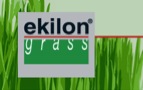 ekilon grass